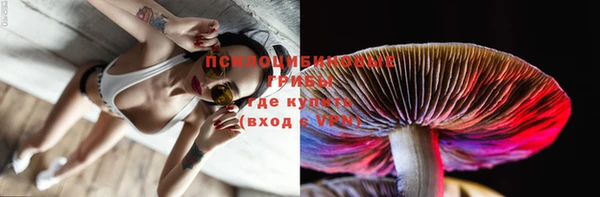 прущий лед Заводоуковск