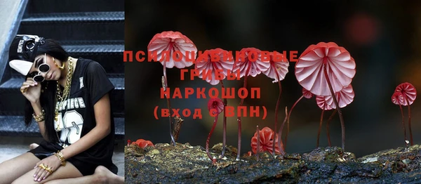 соль ск Заволжье