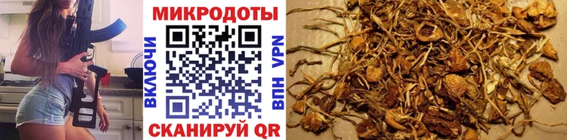Купить  Первомайск  Галлюциногенные грибы MAGIC MUSHROOMS 